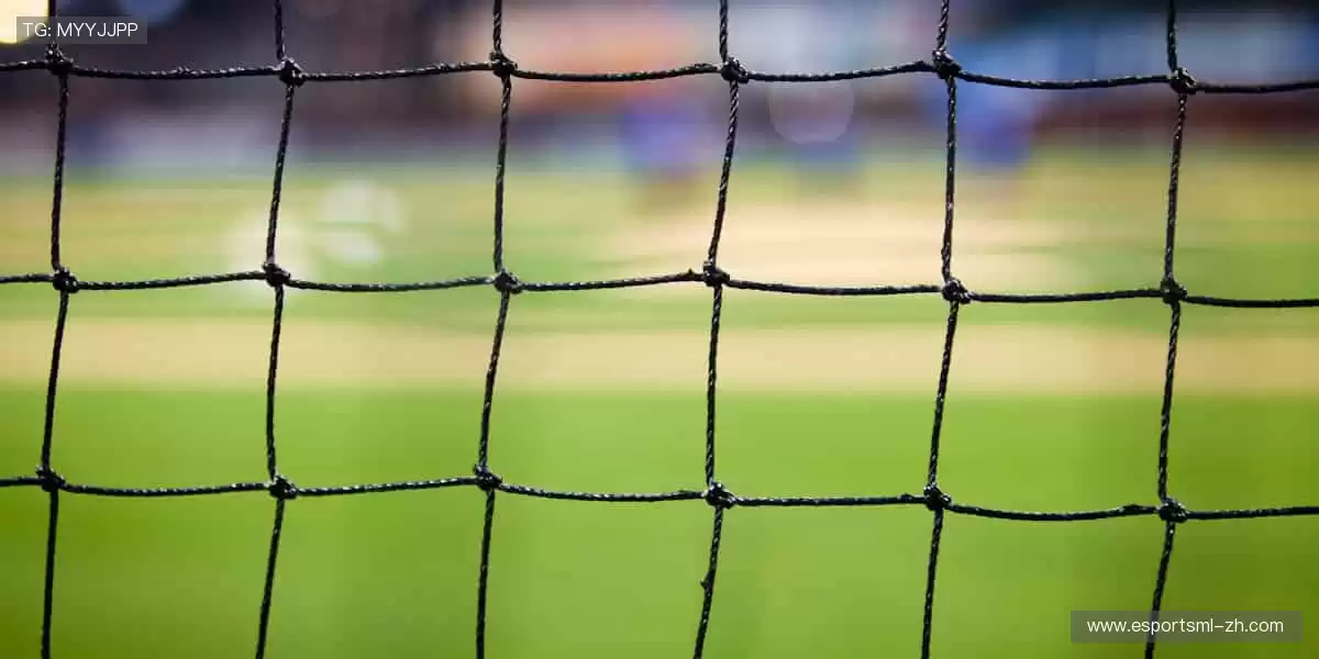 热血赛事,激情碰撞!⚽🏀